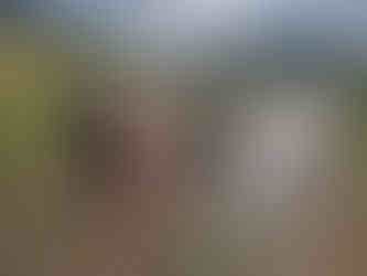 Tozai, Nelly, Lucy, Dylan, Carl