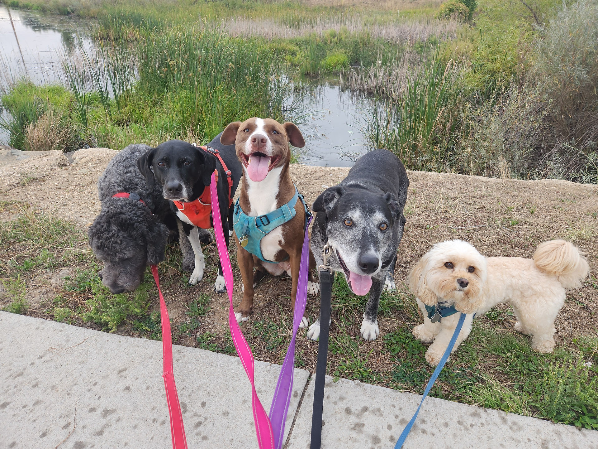 Tozai, Nelly, Lucy, Dylan, Carl