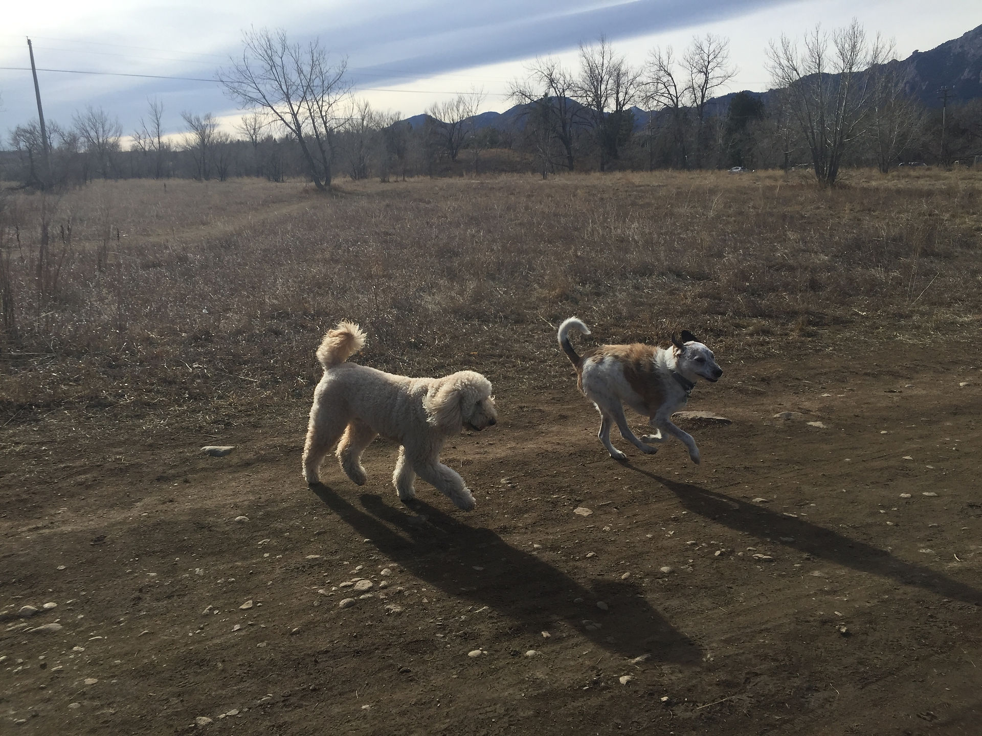 Zoey, Griff