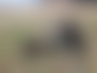 Tuesday Pack Activities