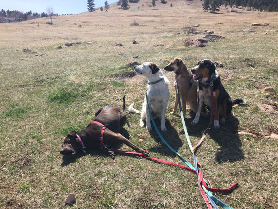 Tuesday Pack Activities