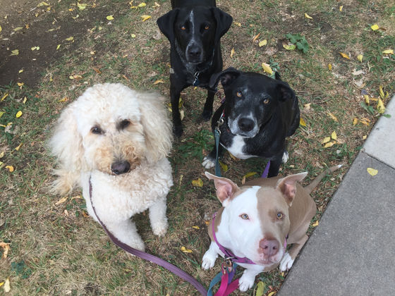 Thursday Pack Activities