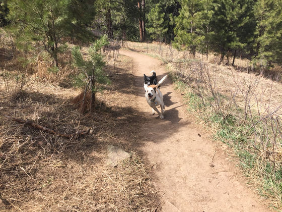 Wednesday Pack Activities