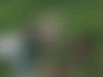 Alfie, Lucy, Lou, Lumi, Carl, Nelly