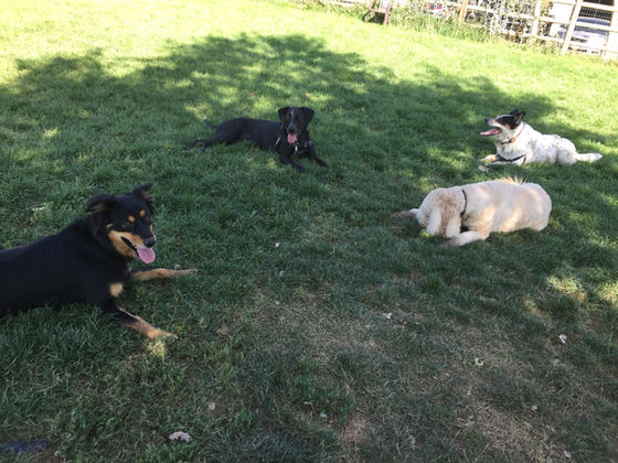 Thursday Pack Activities