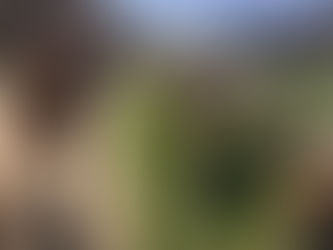 Friday Pack Activities