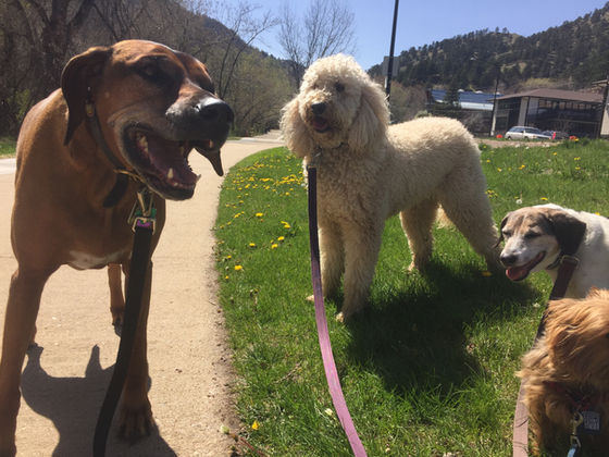 Friday Pack Activities