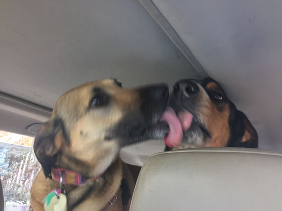 Thursday Pack Activities