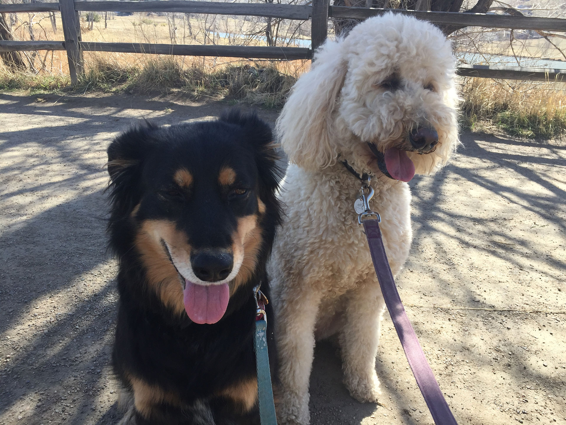 Riley, Zoey