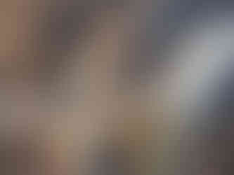 Carl, Dylan, Griff, Lumi, Alfie