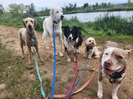 Monday Pack Activities (6/2/2025)