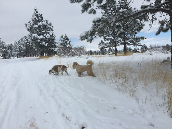 Thursday Pack Activities