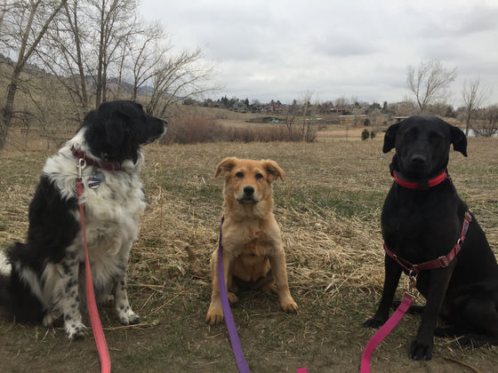 Friday Pack Activities