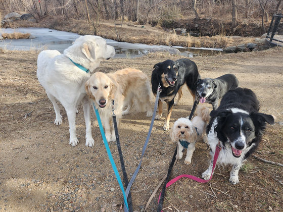 Friday Pack Activities (2/6/2026)