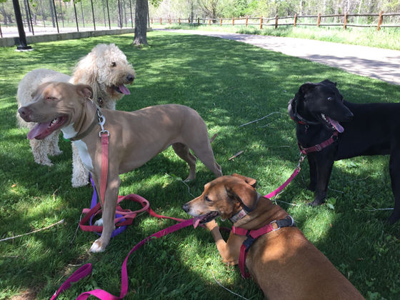 Wednesday Pack Activities