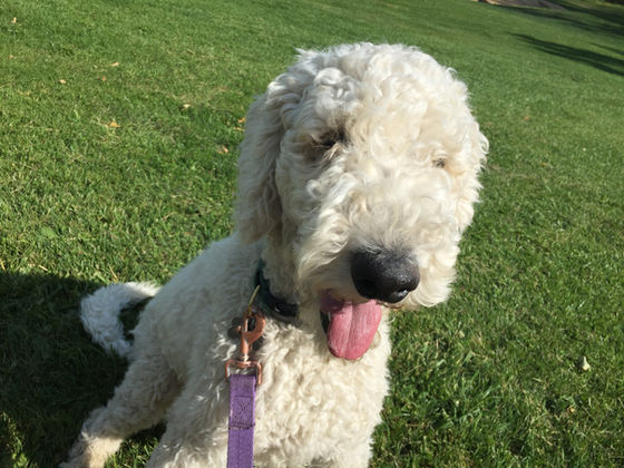 Wednesday Pack Activities