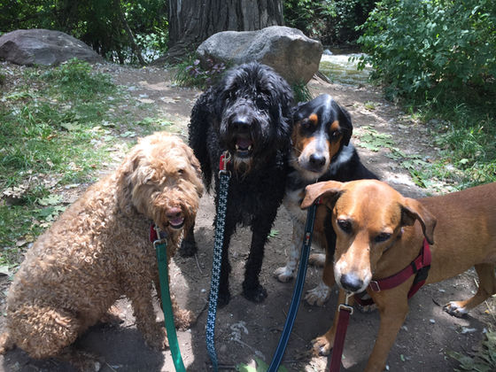 Friday Pack Activities