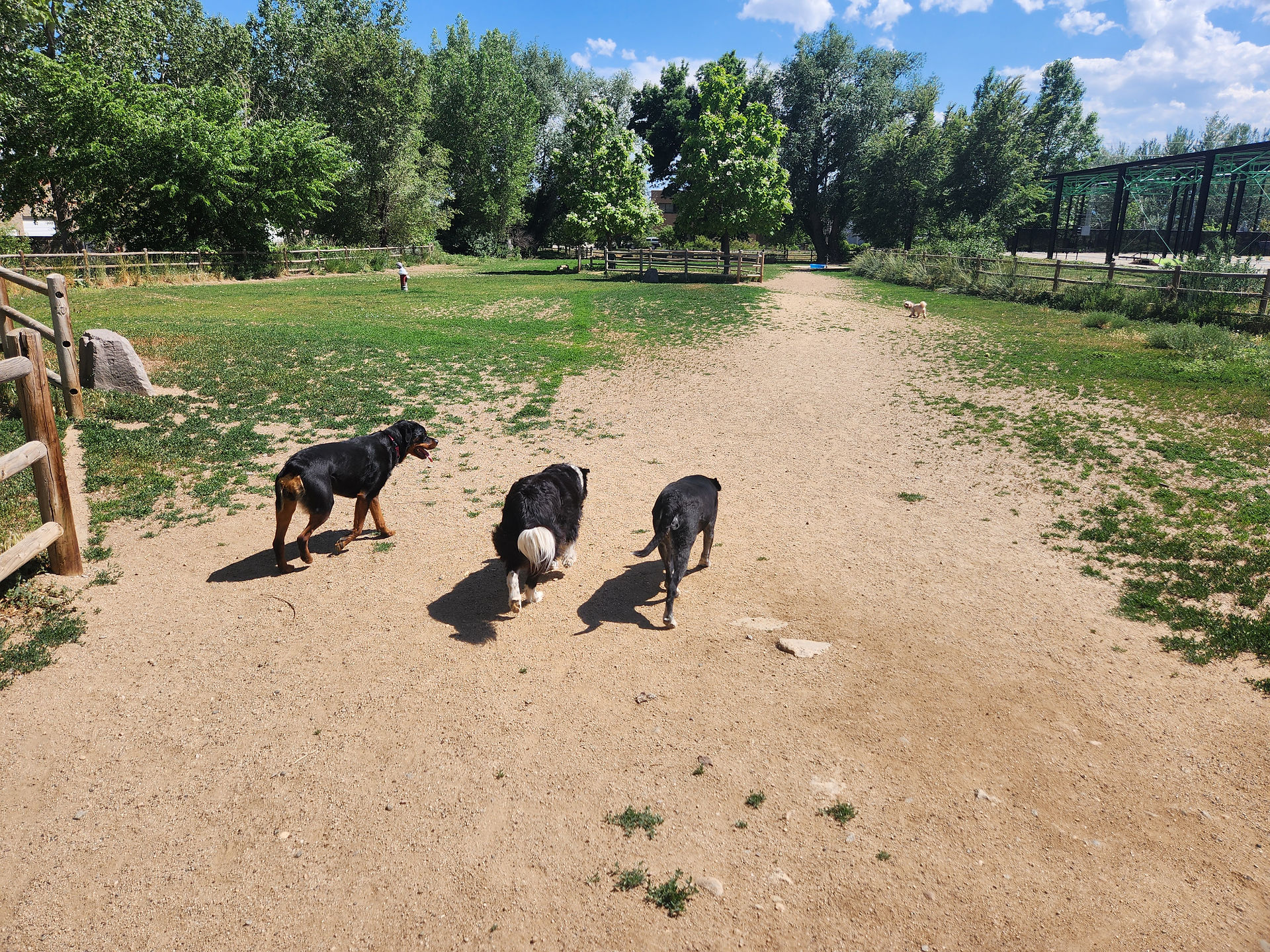 Sanni, Ruffers, Dylan, Carl