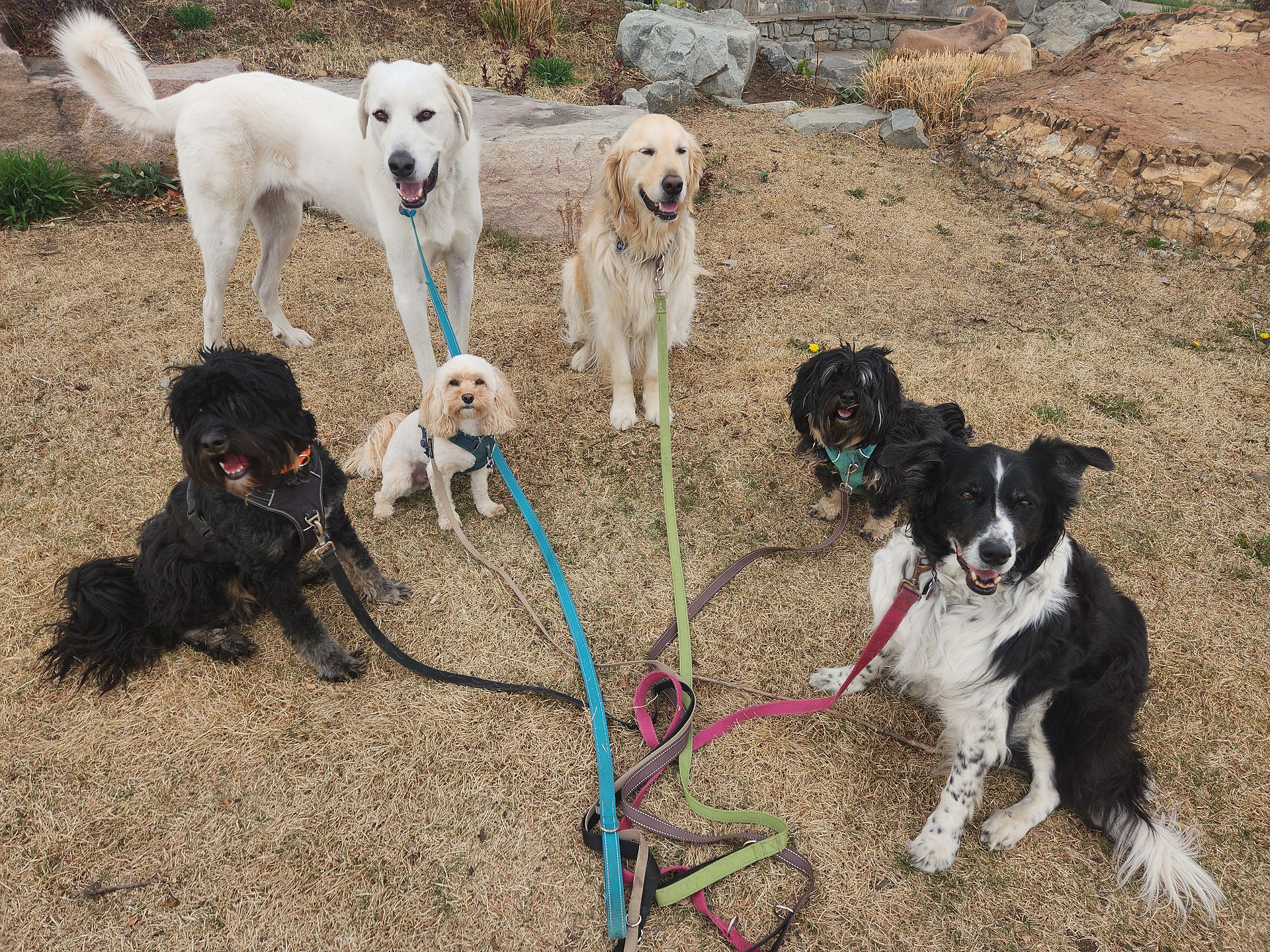 Johnathan, Alfie, Carl, Lumi, Beard, Ruffers