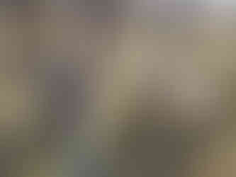 Dylan, Milo, Blu, Gidget