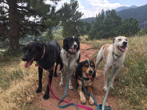Thursday Pack Activities