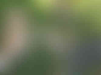 Lumi, Carl, Scarlet, Tozai