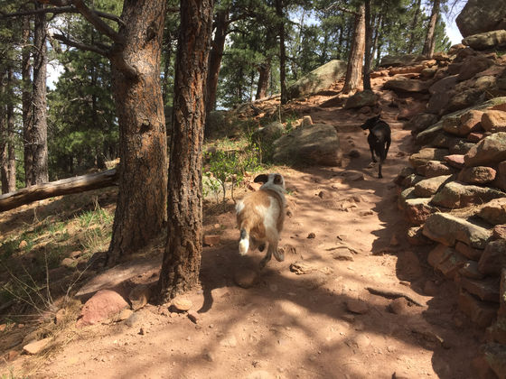 Thursday Pack Activities