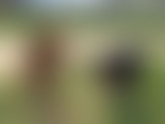 Thursday Pack Activities