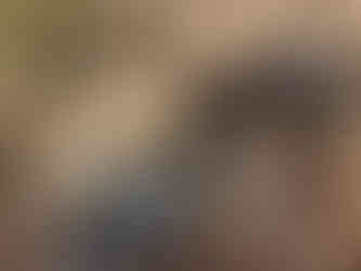 Tozai, Carl, Alfie, Nelly, Lucy