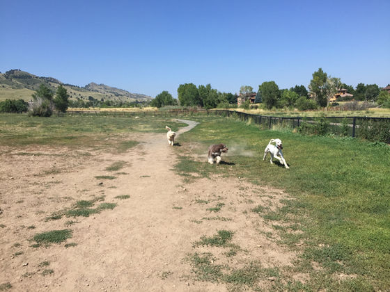 Wednesday Pack Activities
