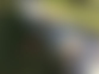 Monday Pack Activities