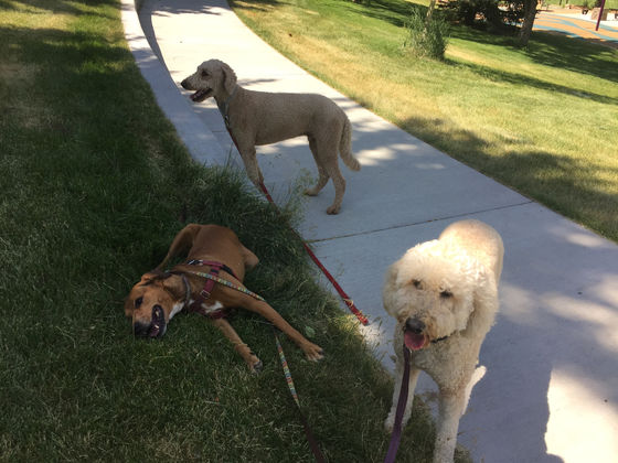 Monday Pack Activities