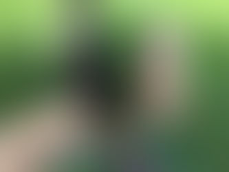 Wednesday Pack Activities