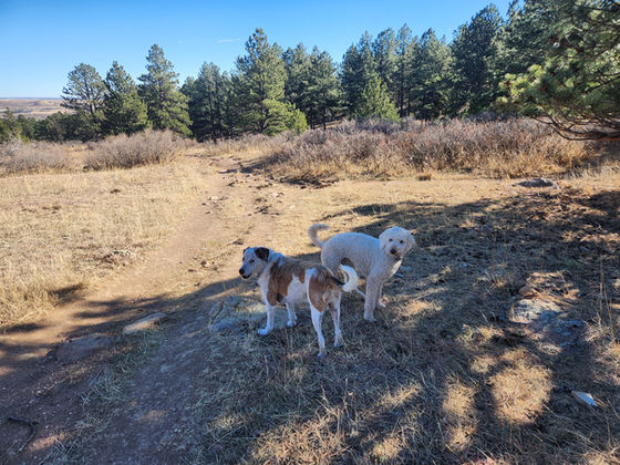 Tuesday Pack Activities (1/6/2026)