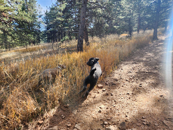 Monday Pack Activities (11/10/2025)