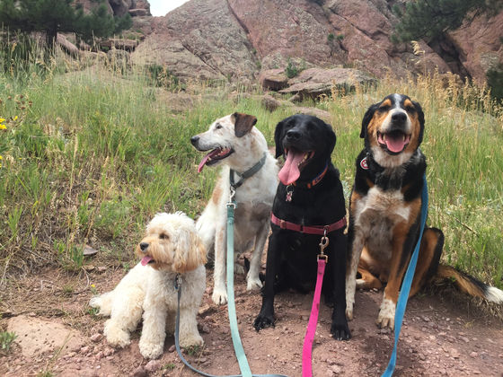 Tuesday Pack Activities