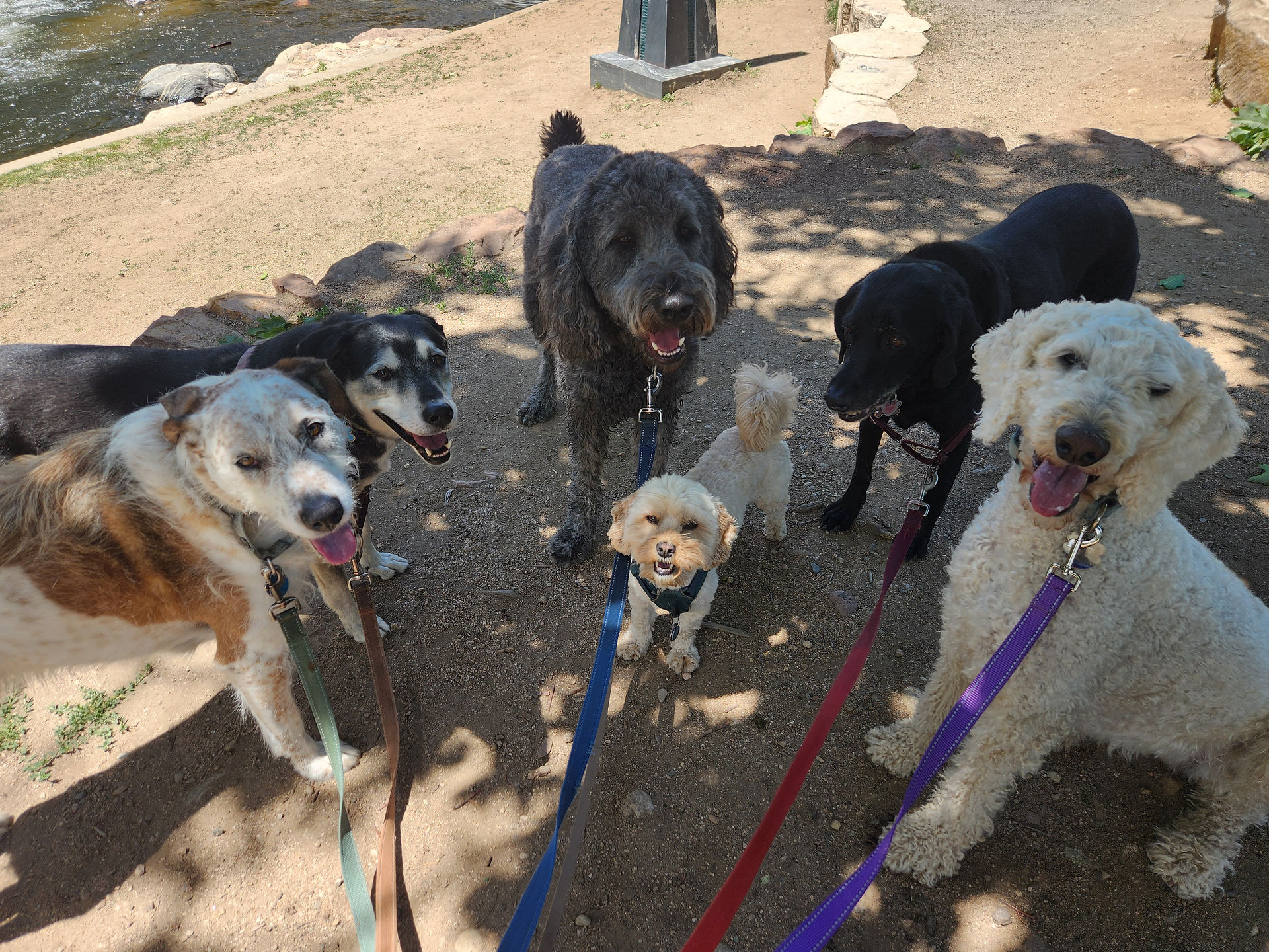 Griff, Arlo, Tozai, Carl, Racer, Imogene