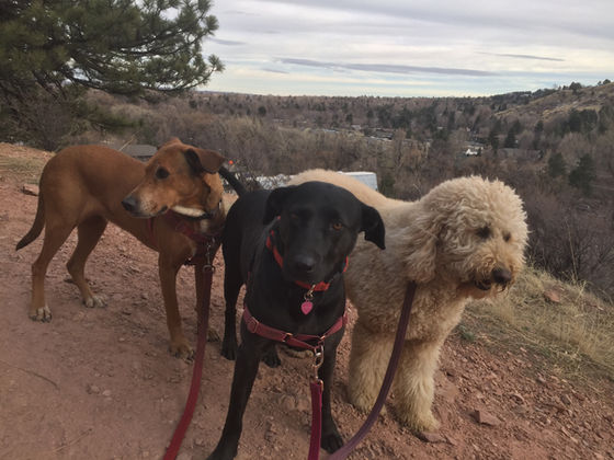 Friday Pack Activities