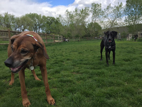 Tuesday Pack Activities