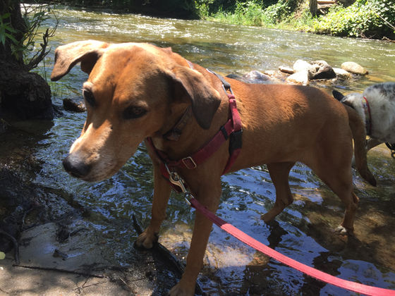 Wednesday Pack Activities