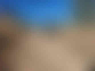 Lumi, Griff, Carl, Alfie