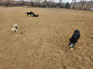Carl, friend, Tozai, Dylan