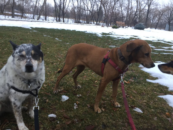 Thursday Pack Activities