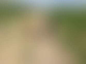 Friday Pack Activities