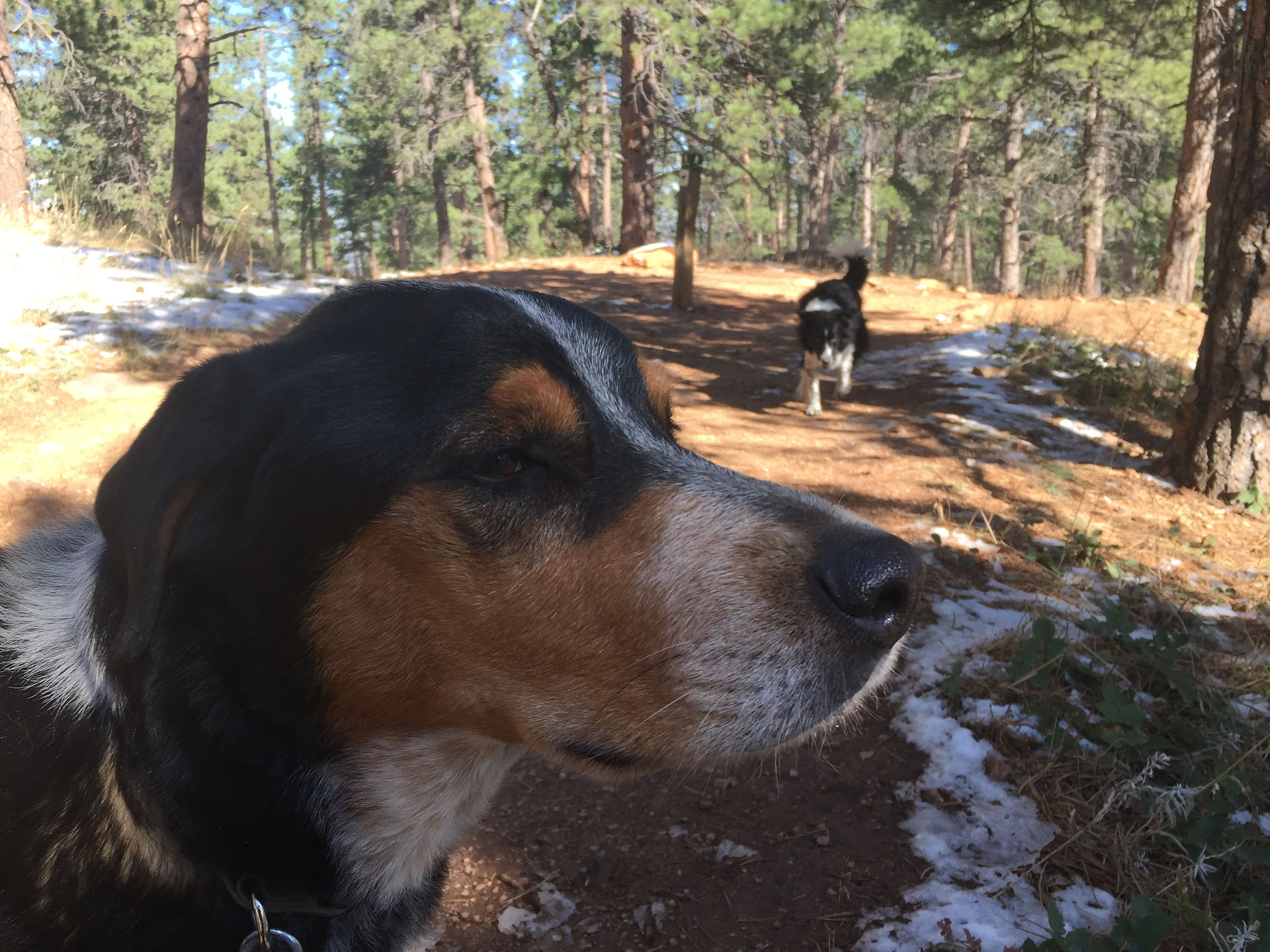 Sputnik, Ruffers