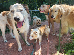Griff, Scarlet, Carl, Rey, Lumi