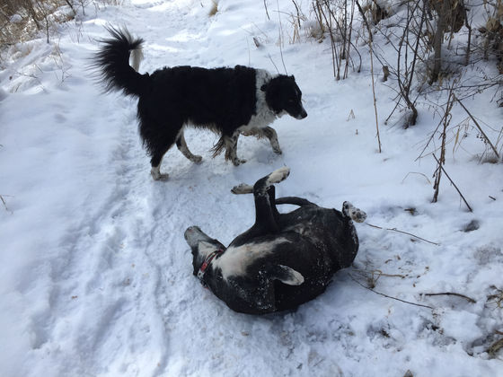 Monday Pack Activities