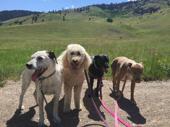 Wednesday Pack Activities