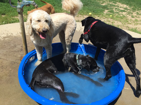 Thursday Pack Activities