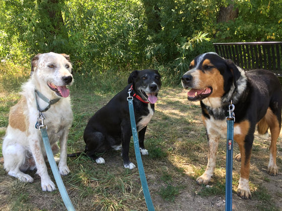 Friday Pack Activities